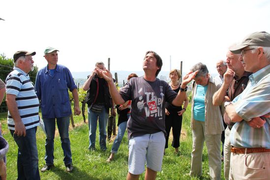 Spaziergang Neckarhöhenweg c 20-5-12